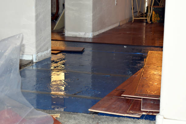 Professional Flood Damage Restoration technician working in Cologne, NJ